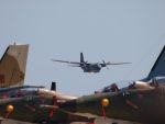 20100807184328_ftpj_42.jpg